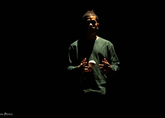 PIC Can Clariana (38)